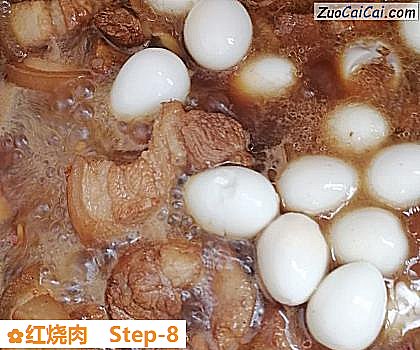 红烧肉做法第八步骤