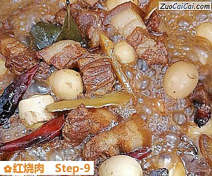 红烧肉做法第九步骤