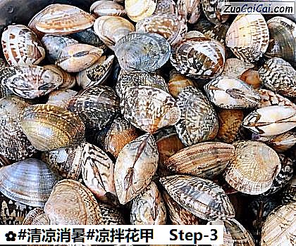 凉拌花甲做法第三步骤