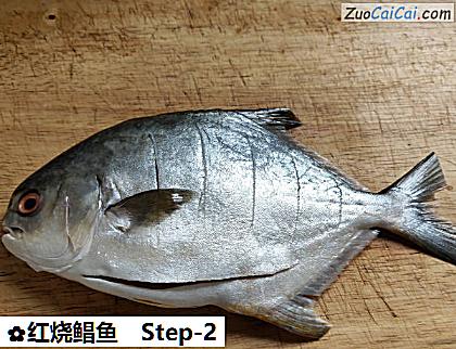 红烧鲳鱼做法第二步骤