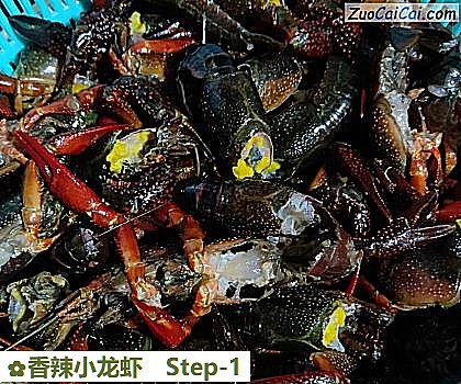 香辣小龙虾做法第一步骤