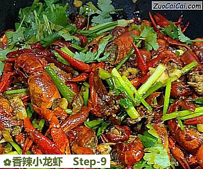 香辣小龙虾做法第九步骤