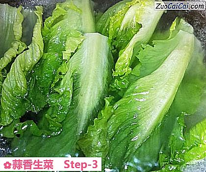 蒜香生菜做法第三步骤