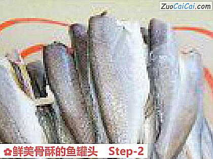 鲜美骨酥的鱼罐头做法第二步骤