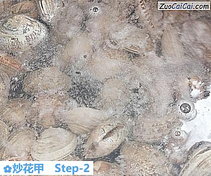 炒花甲做法第二步骤