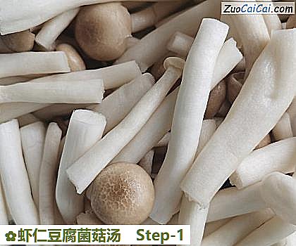 虾仁豆腐菌菇汤做法第一步骤