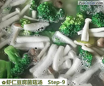 虾仁豆腐菌菇汤做法第九步骤