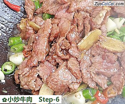 小炒牛肉的做法步骤图(六) 小炒牛肉的做法步骤图(六)