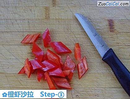 橙虾沙拉做法第三步骤