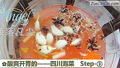四川泡菜做法第三步骤