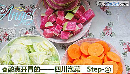 四川泡菜做法第四步骤