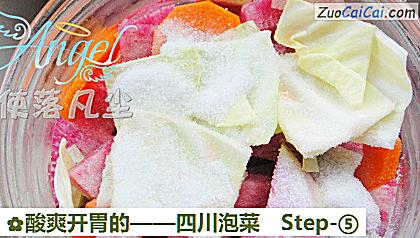 四川泡菜做法第五步骤