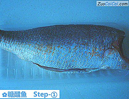 糖醋鱼做法第一步骤