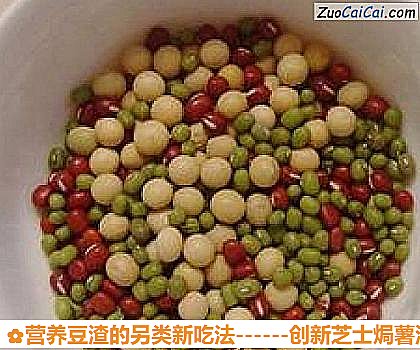 营养豆渣的另类新吃法做法第一步骤