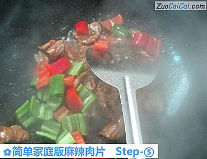 简单家庭版麻辣肉片做法第五步骤