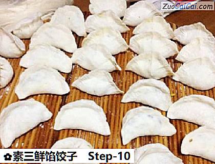 素三鲜馅饺子做法第十步骤