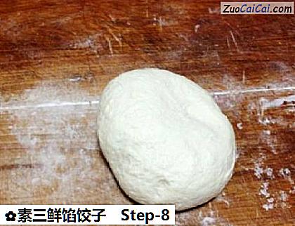 素三鲜馅饺子做法第八步骤