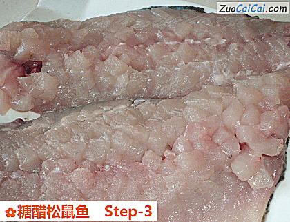 糖醋松鼠鱼做法第三步骤