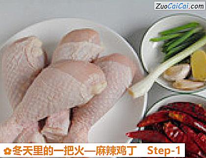 麻辣鸡丁做法第一步骤