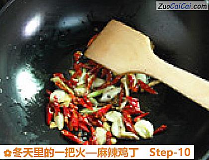 麻辣鸡丁做法第十步骤