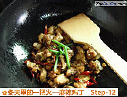 麻辣鸡丁成品图1