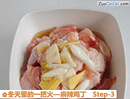 麻辣鸡丁做法第三步骤
