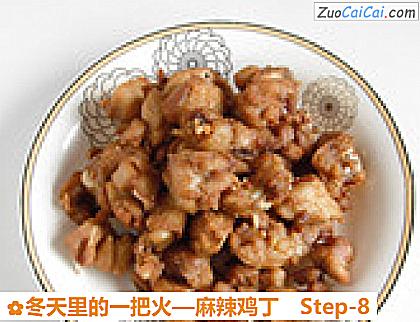 麻辣鸡丁做法第八步骤