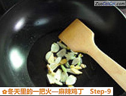 麻辣鸡丁做法第九步骤