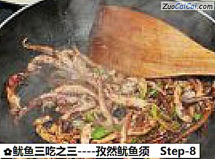 孜然鱿鱼须做法第八步骤
