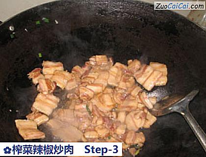 榨菜辣椒炒肉做法第三步骤