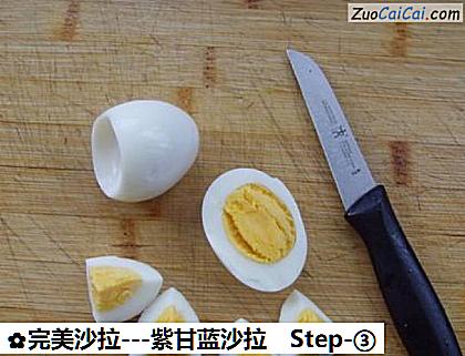 -紫甘蓝沙拉做法第三步骤