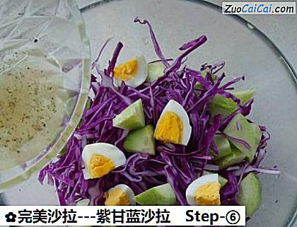 -紫甘蓝沙拉做法第六步骤