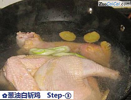 葱油白斩鸡做法第三步骤