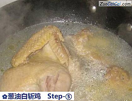 葱油白斩鸡做法第五步骤