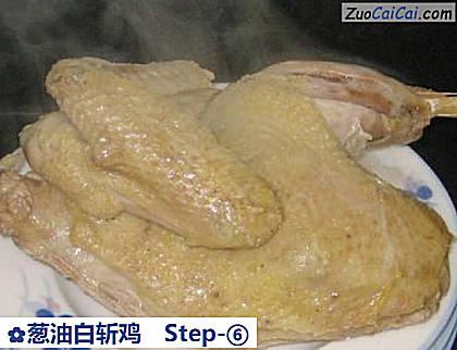 葱油白斩鸡做法第六步骤