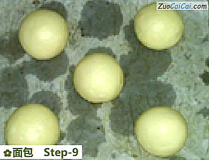 面包做法第九步骤