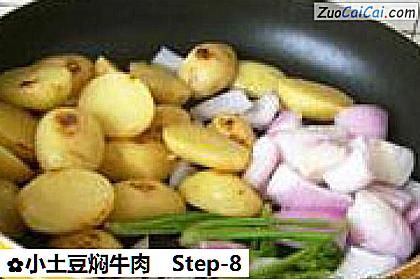 小土豆焖牛肉做法第八步骤
