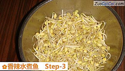 香辣水煮鱼做法第三步骤