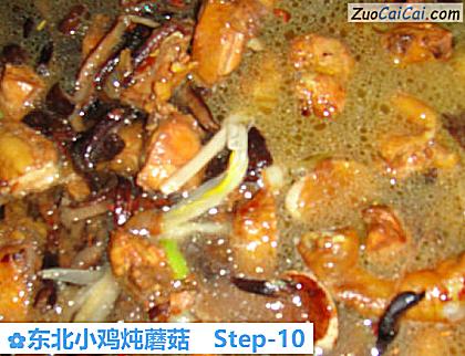 东北小鸡炖蘑菇做法第十步骤