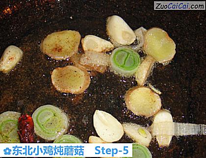 东北小鸡炖蘑菇做法第五步骤