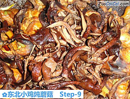 东北小鸡炖蘑菇做法第九步骤