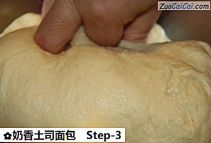 奶香土司面包做法第三步骤