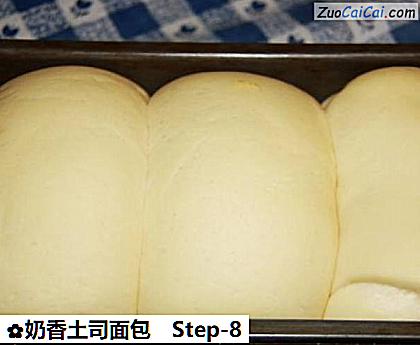 奶香土司面包做法第八步骤