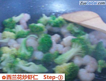西兰花炒虾仁做法第三步骤