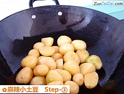 麻辣小土豆做法第三步骤