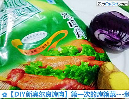 -新奥尔良烤鸡翅做法第一步骤