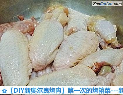 -新奥尔良烤鸡翅做法第二步骤