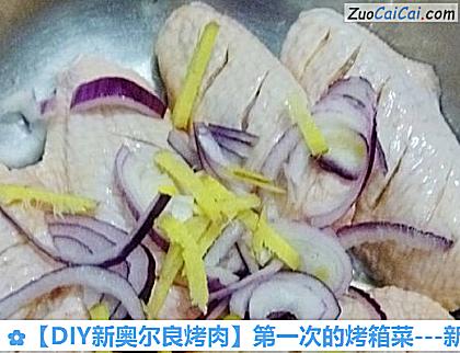 -新奥尔良烤鸡翅做法第四步骤