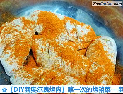 -新奥尔良烤鸡翅做法第六步骤