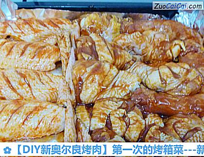 -新奥尔良烤鸡翅做法第八步骤
